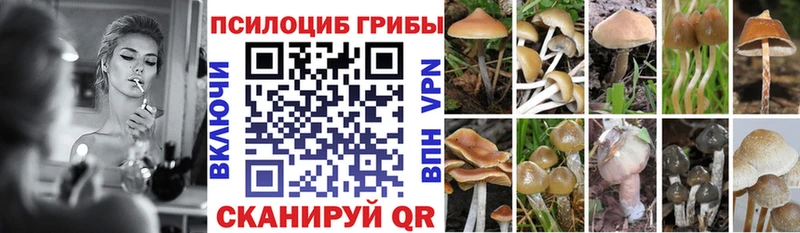 это какой сайт  Лабытнанги  Псилоцибиновые грибы прущие грибы  mega ССЫЛКА 